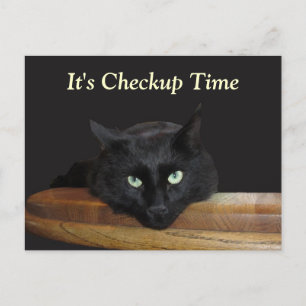 Veterinary Checkup Funny Black Cat Briefkaart