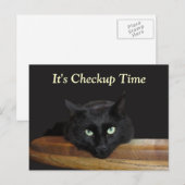 Veterinary Checkup Funny Black Cat Briefkaart (Voorkant / Achterkant)
