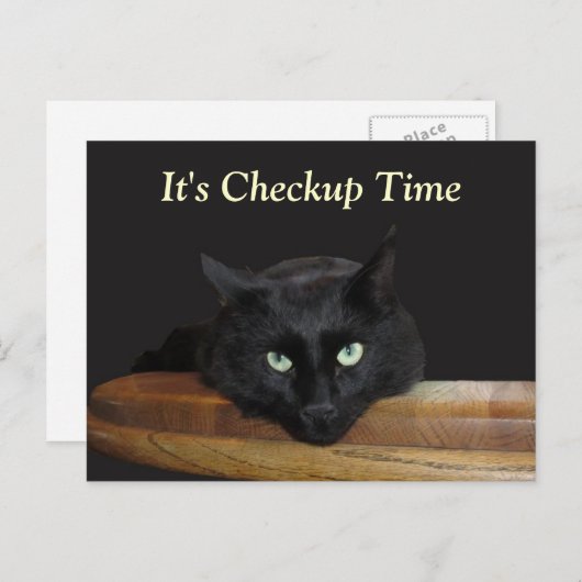 Veterinary Checkup Funny Black Cat Briefkaart (Voorkant / Achterkant)