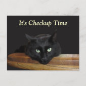 Veterinary Checkup Funny Black Cat Briefkaart (Voorkant)