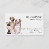 Veterinary Clinic Dogs & Cat Visitekaartje (Voorkant)