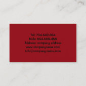 Veterinary First Aid Dierenarts Private Clinic Visitekaartje (Achterkant)