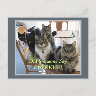 Veterinary Gang of Cats Checkup Briefkaart