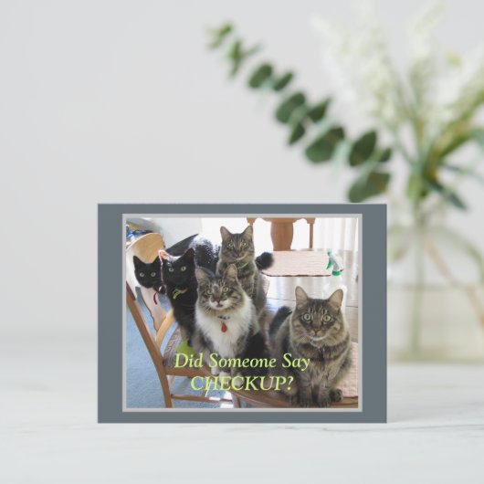 Veterinary Gang of Cats Checkup Briefkaart (Staand voorkant)