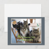 Veterinary Gang of Cats Checkup Briefkaart (Voorkant / Achterkant)