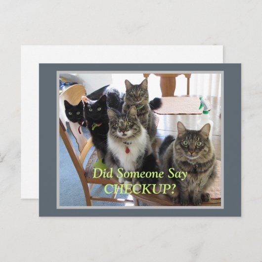 Veterinary Gang of Cats Checkup Briefkaart (Voorkant / Achterkant)