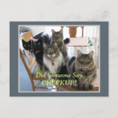 Veterinary Gang of Cats Checkup Briefkaart (Voorkant)