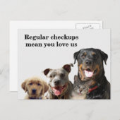 Veterinary Love Your Pets Checkup Briefkaart (Voorkant / Achterkant)