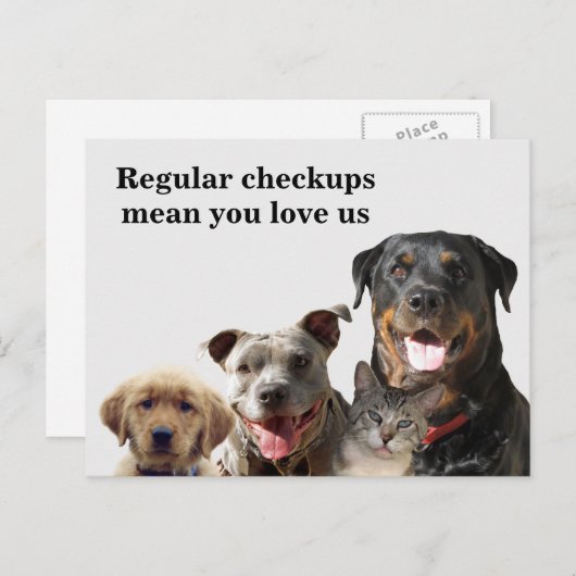 Veterinary Love Your Pets Checkup Briefkaart (Voorkant / Achterkant)