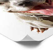 Veterinary Love Your Pets Checkup Poster (Hoek)