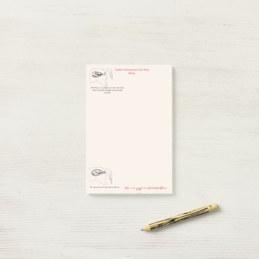 "Veterinary Tech Notes" Post-it® Notes (Op bureau)