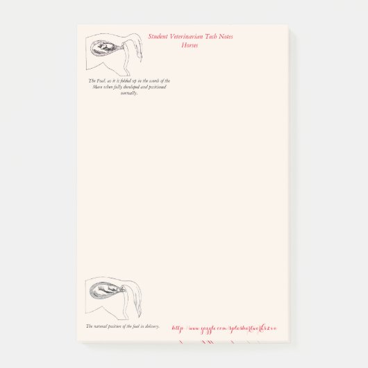 "Veterinary Tech Notes" Post-it® Notes (Voorkant)