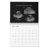 Veterinary Ultrasound Calendar Kalender (Mar 2027)