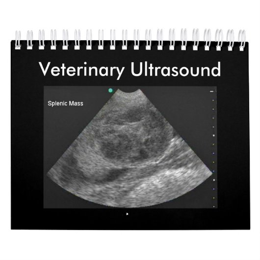 Veterinary Ultrasound Calendar Kalender (Hoes)