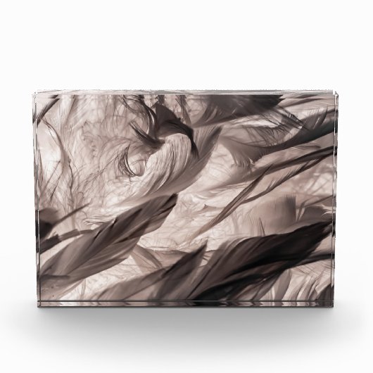 Veters Fotoblokken (Voorkant)