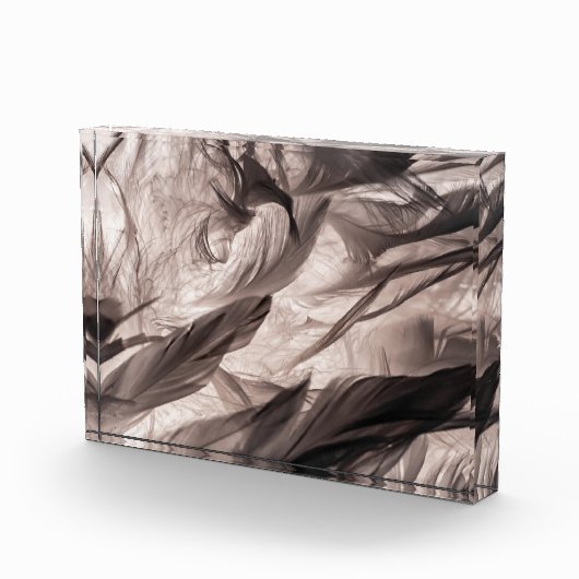 Veters Fotoblokken (Rechts)