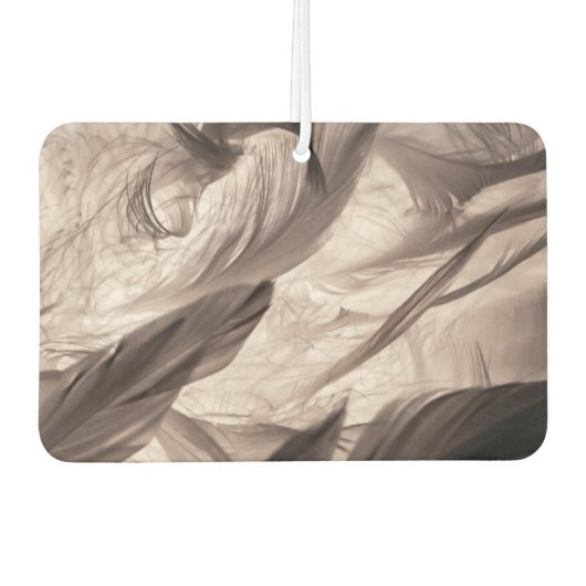 Veters Luchtverfrisser (Voorkant)