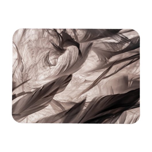 Veters Magneet (Horizontaal)