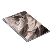 Veters Notitieboek (Rechterzijde)