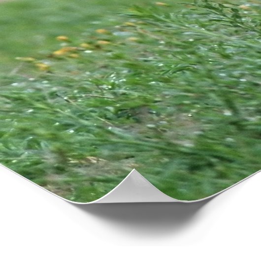 "Veters" Poster (Hoek)