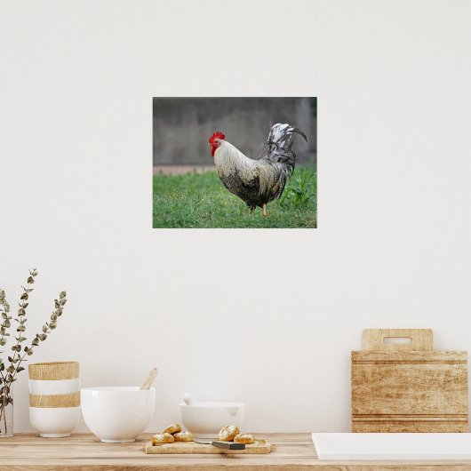 "Veters" Poster (Keuken)