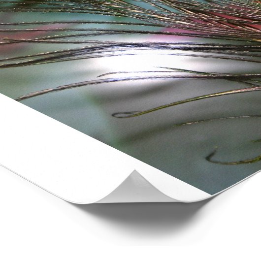 Veters Poster (Hoek)