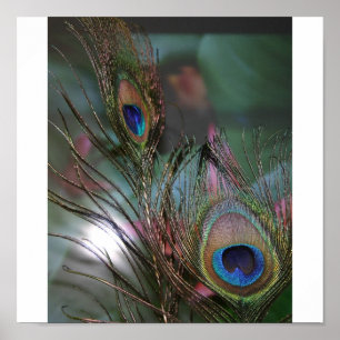 Veters Poster