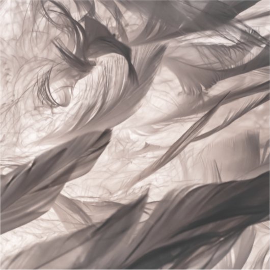 Veters Sticker (Voorkant)