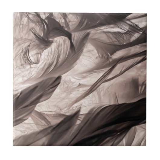 Veters Tegeltje (Voorkant)