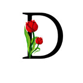 Vetgedrukte zwarte letter "D" Crossbody Tas