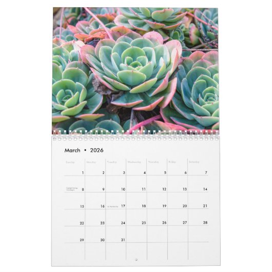 vetkalender kalender (Mar 2026)