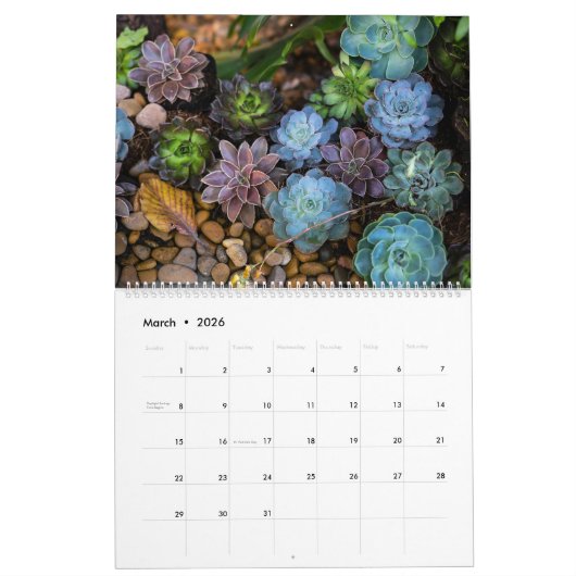 vetkalender kalender (Mar 2026)