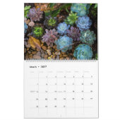 vetkalender kalender (Mar 2027)