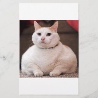 Vetkat