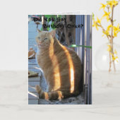 Vetkat Birthday Kaart (Gele Bloem)