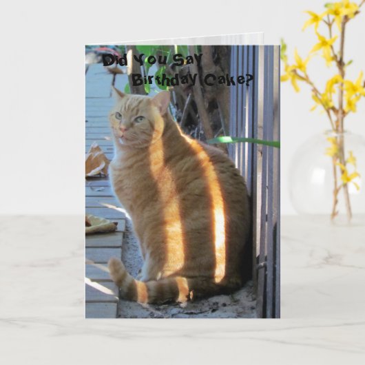 Vetkat Birthday Kaart (Gele Bloem)