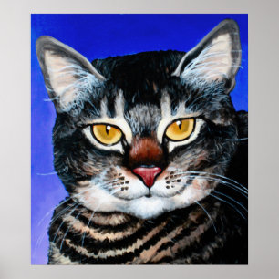 Vetkat, geslepen poster