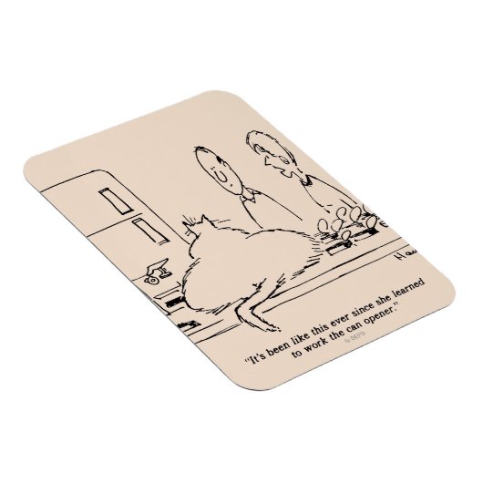 Vetkat Magneet (Rechterzijde)