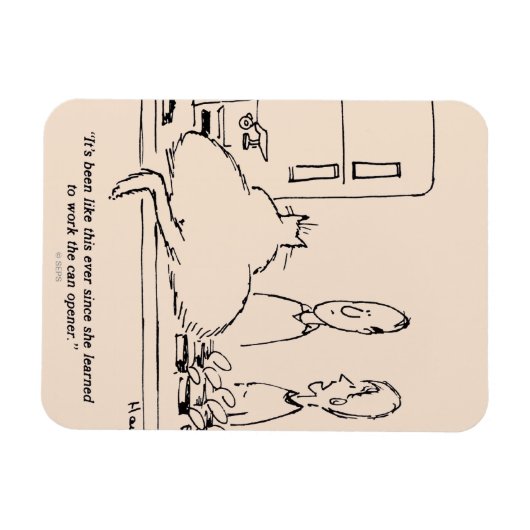 Vetkat Magneet (Horizontaal)