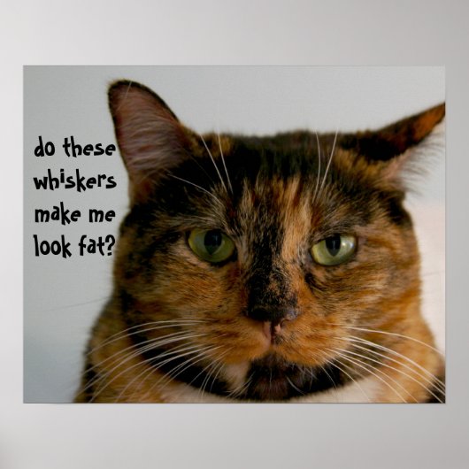 Vetkat met Attitude, grappig poster van katten (Voorkant)