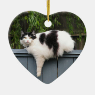 Vetkat op hek keramisch ornament