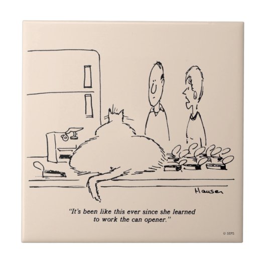 Vetkat Tegeltje (Voorkant)