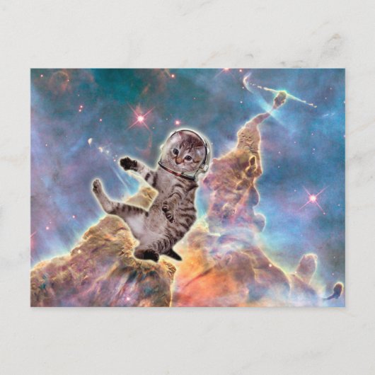 Vetkattenastronaut Briefkaart (Voorkant)