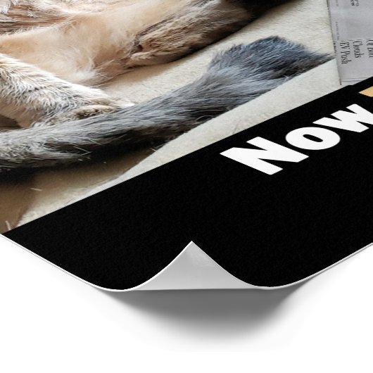 Vetkattenstasty-Poster Poster (Hoek)