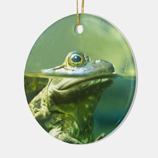 Vetkikker Keramisch Ornament (Links)