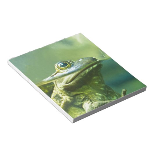 Vetkikker Notitieblok (Schuin)