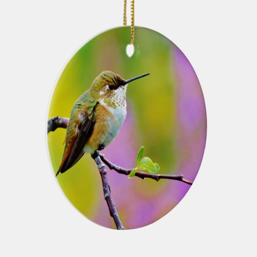 Vetkleine Hummingvogel Keramisch Ornament (Rechts)