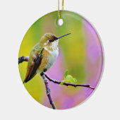 Vetkleine Hummingvogel Keramisch Ornament (Links)