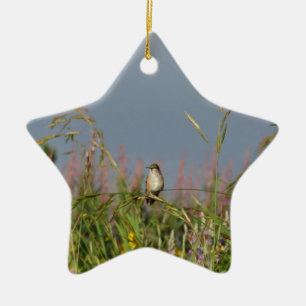 Vetkleine Hummingvogel Keramisch Ornament