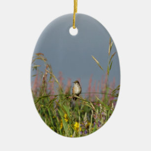 Vetkleine Hummingvogel Keramisch Ornament